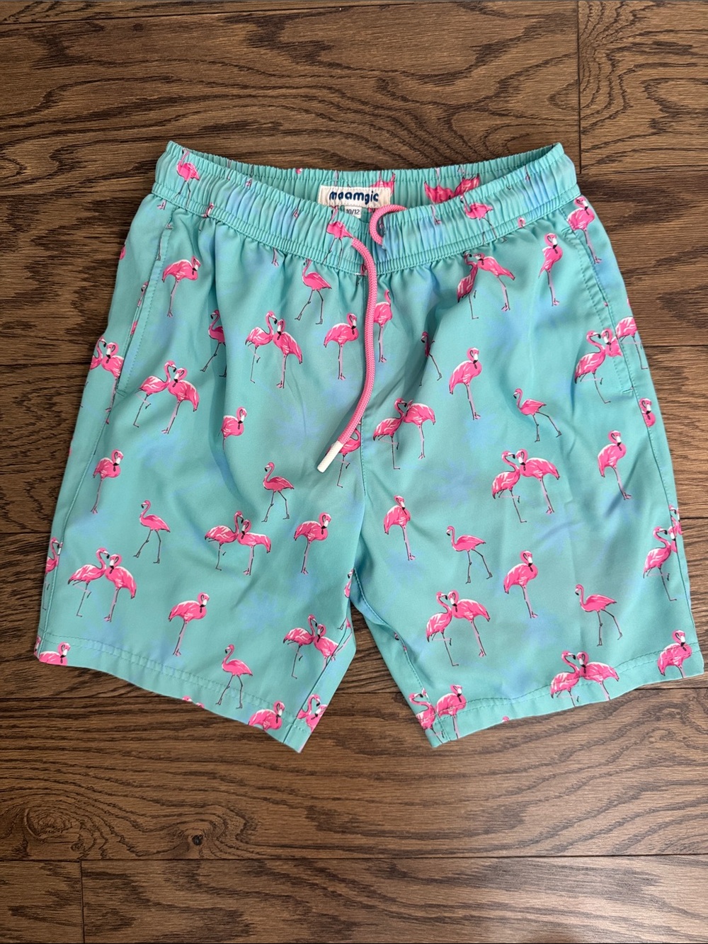 Aqua Flamingo Swim Shorts boys. ~